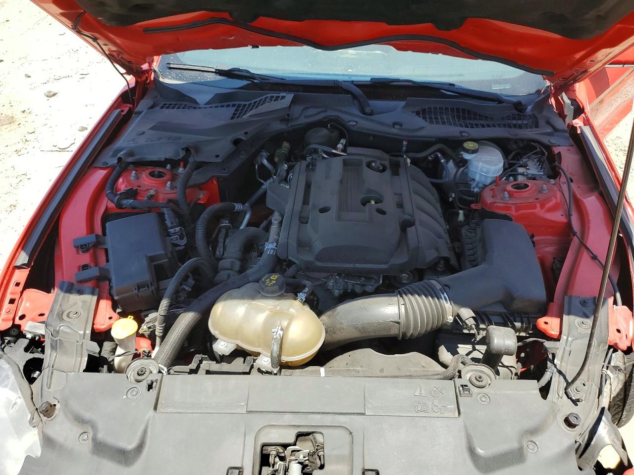2019 FORD MUSTANG
