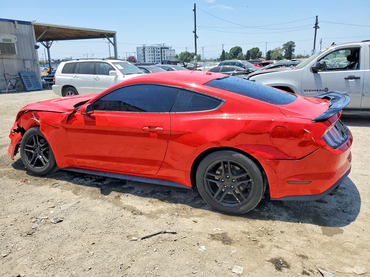 2019 FORD MUSTANG