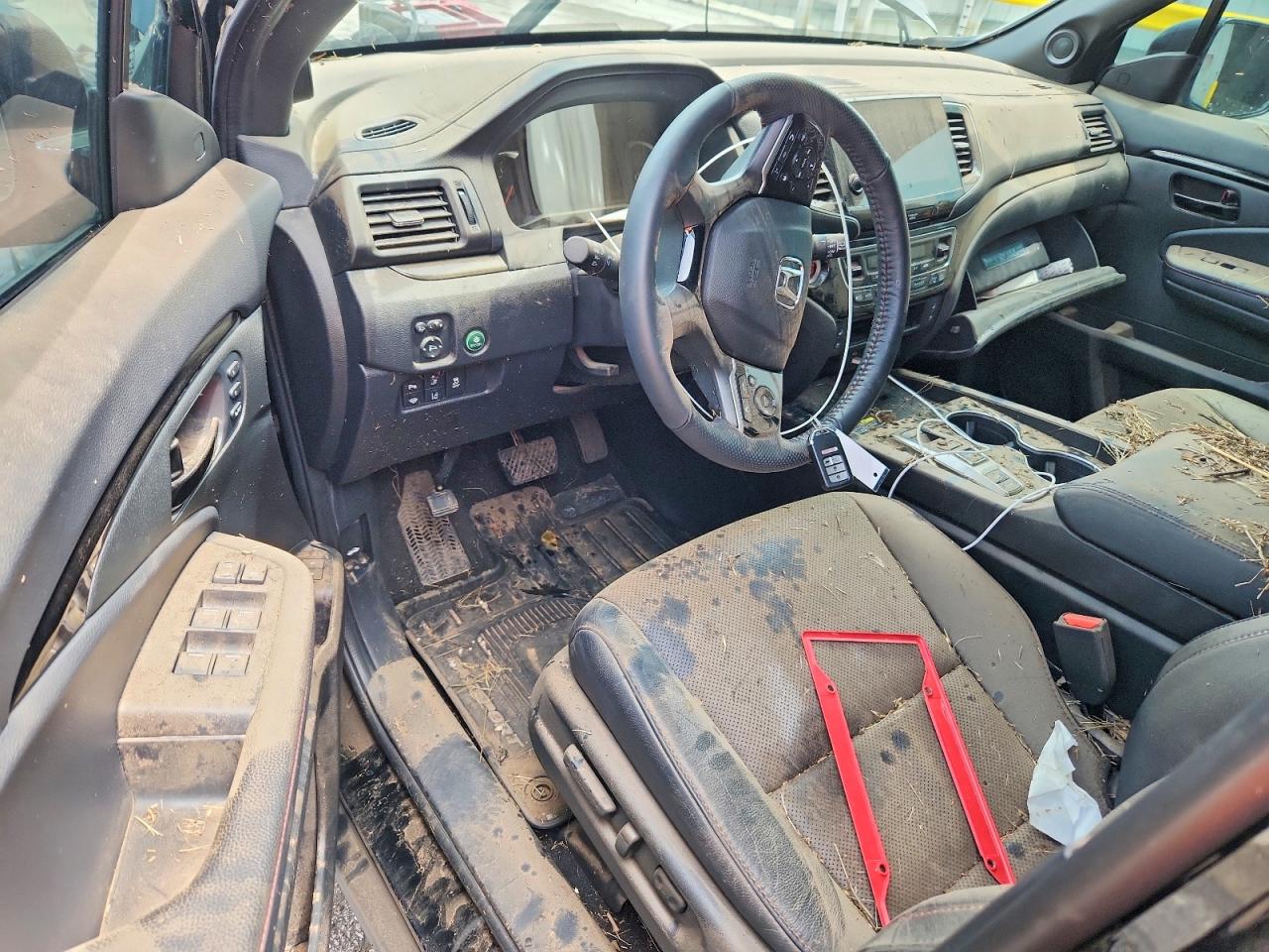 2025 HONDA PASSPORT