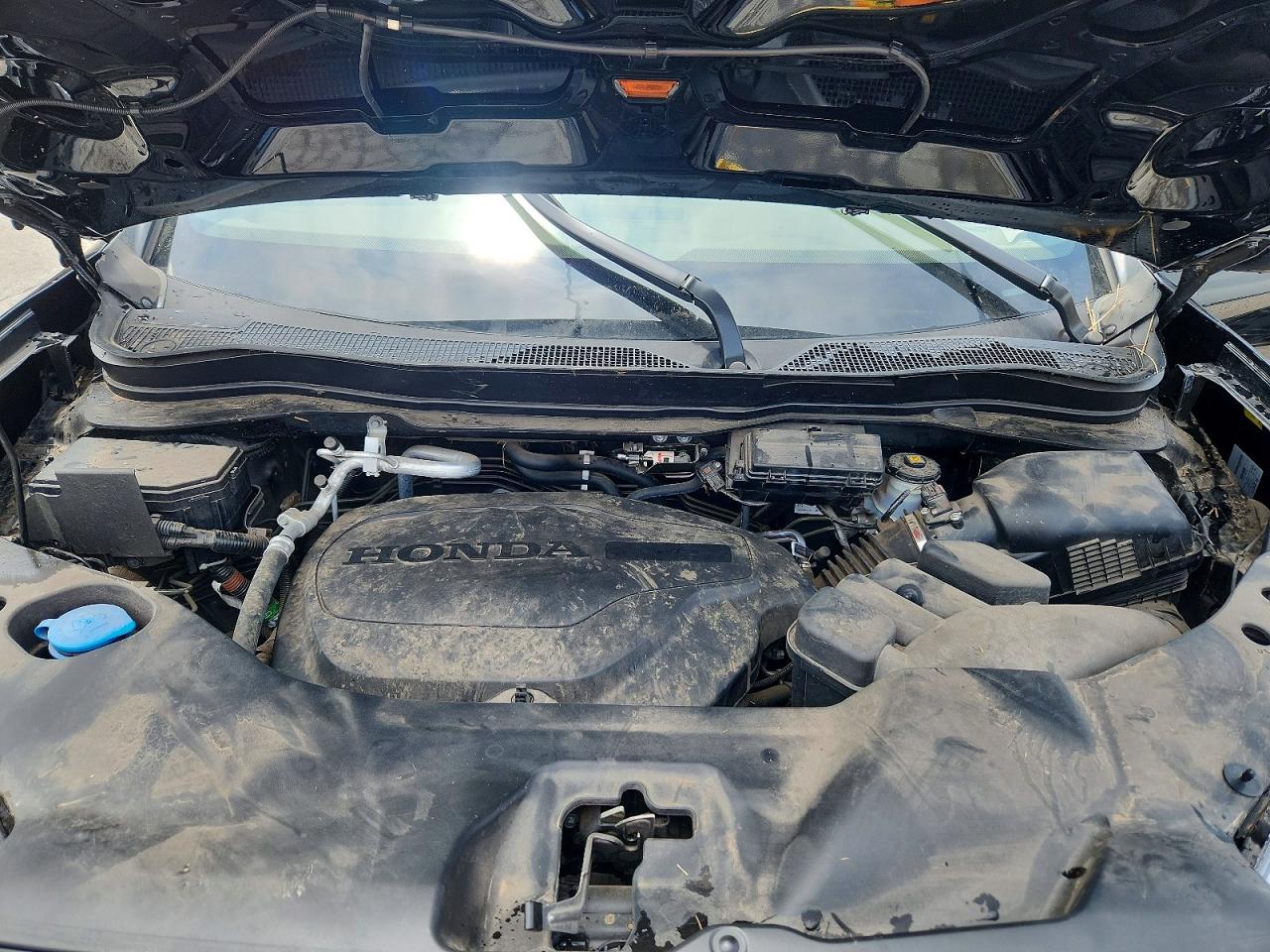 2025 HONDA PASSPORT
