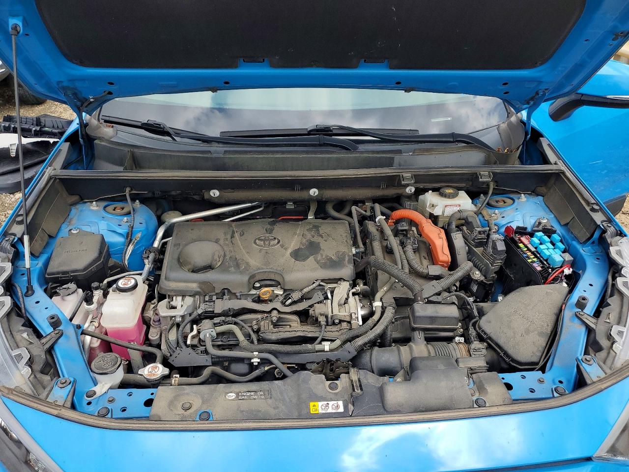 2019 TOYOTA RAV4