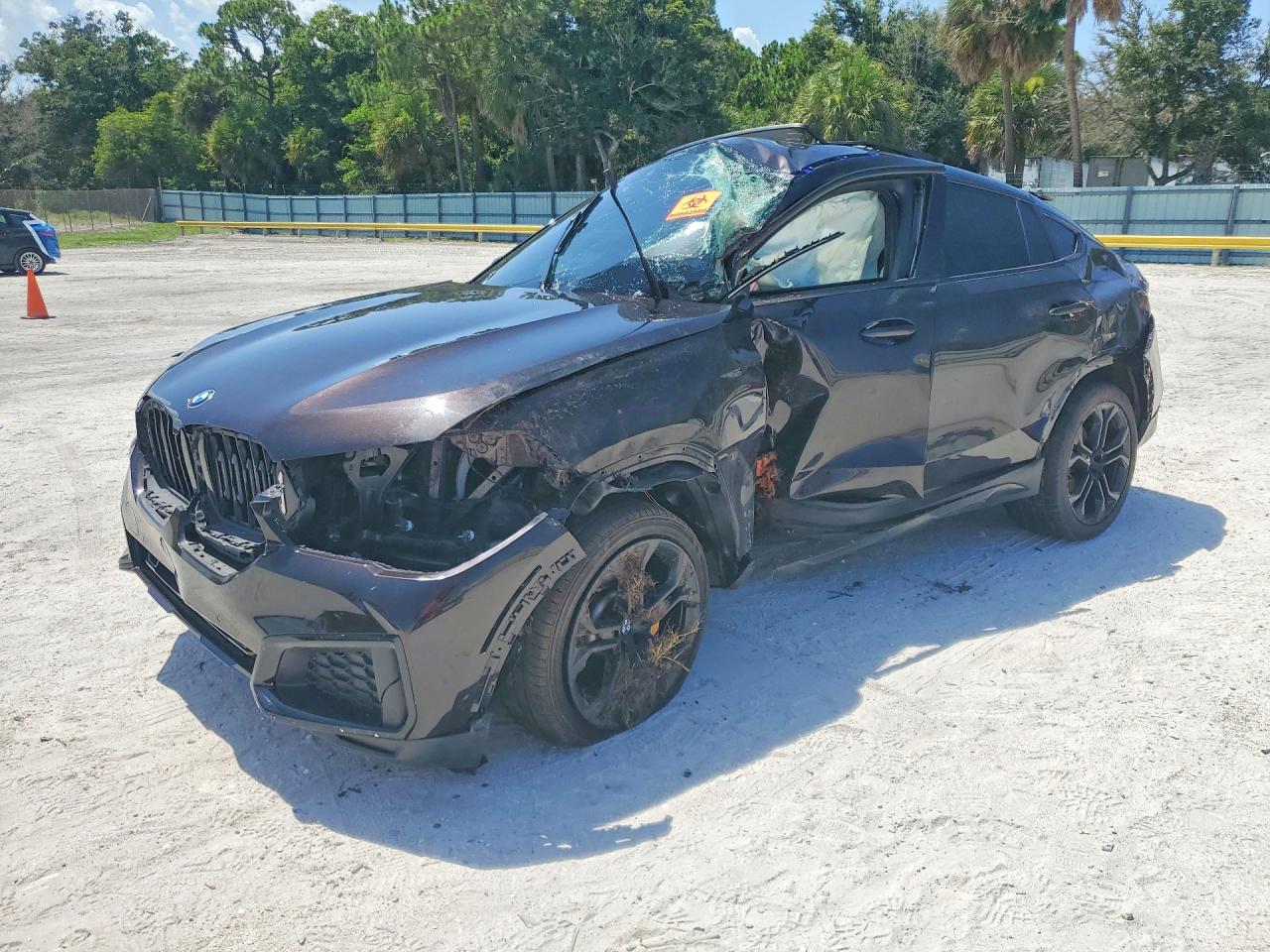 2022 BMW X6