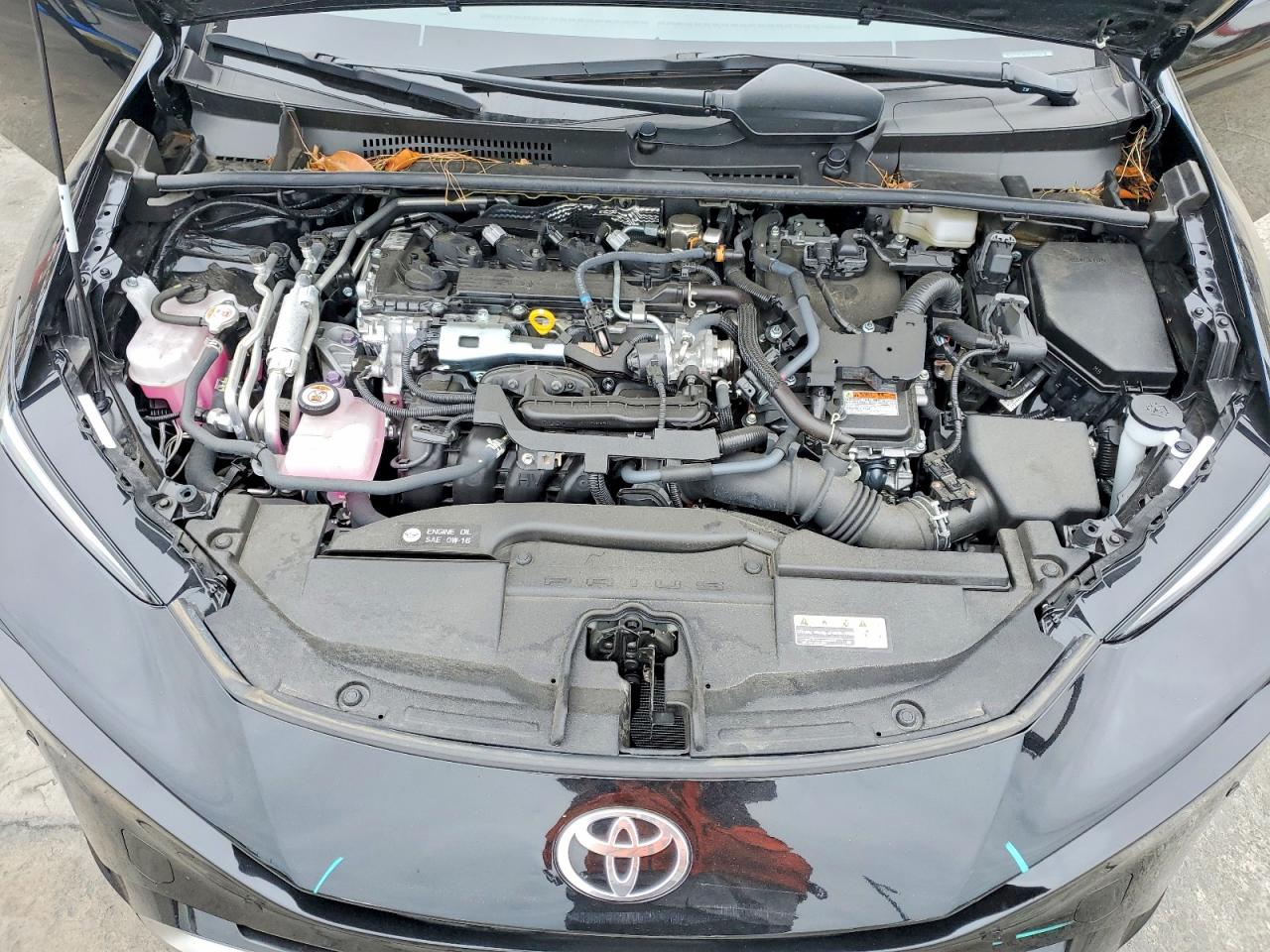 2025 TOYOTA PRIUS