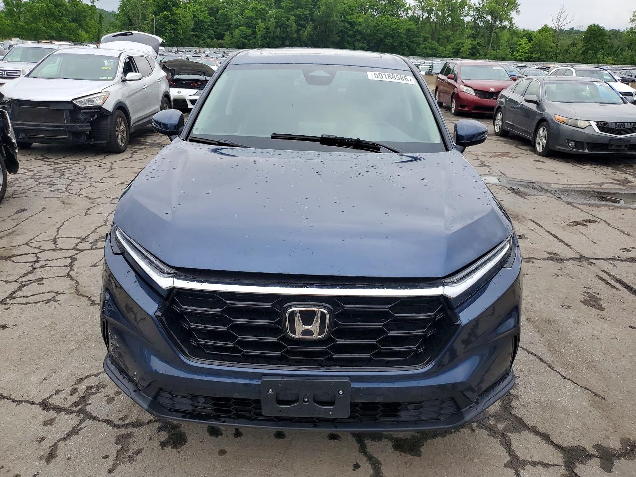 2025 HONDA CRV
