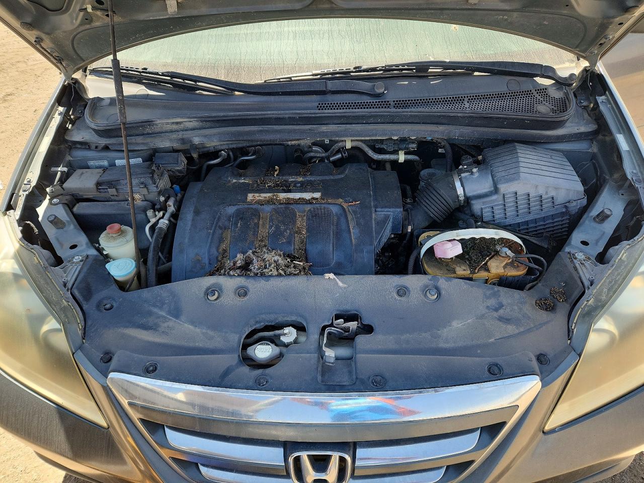 2007 HONDA All Models