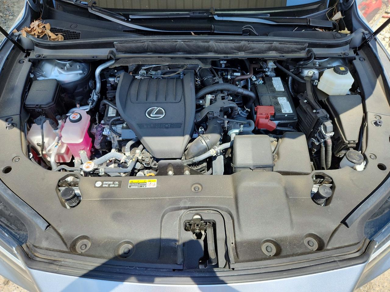 2024 LEXUS RX350