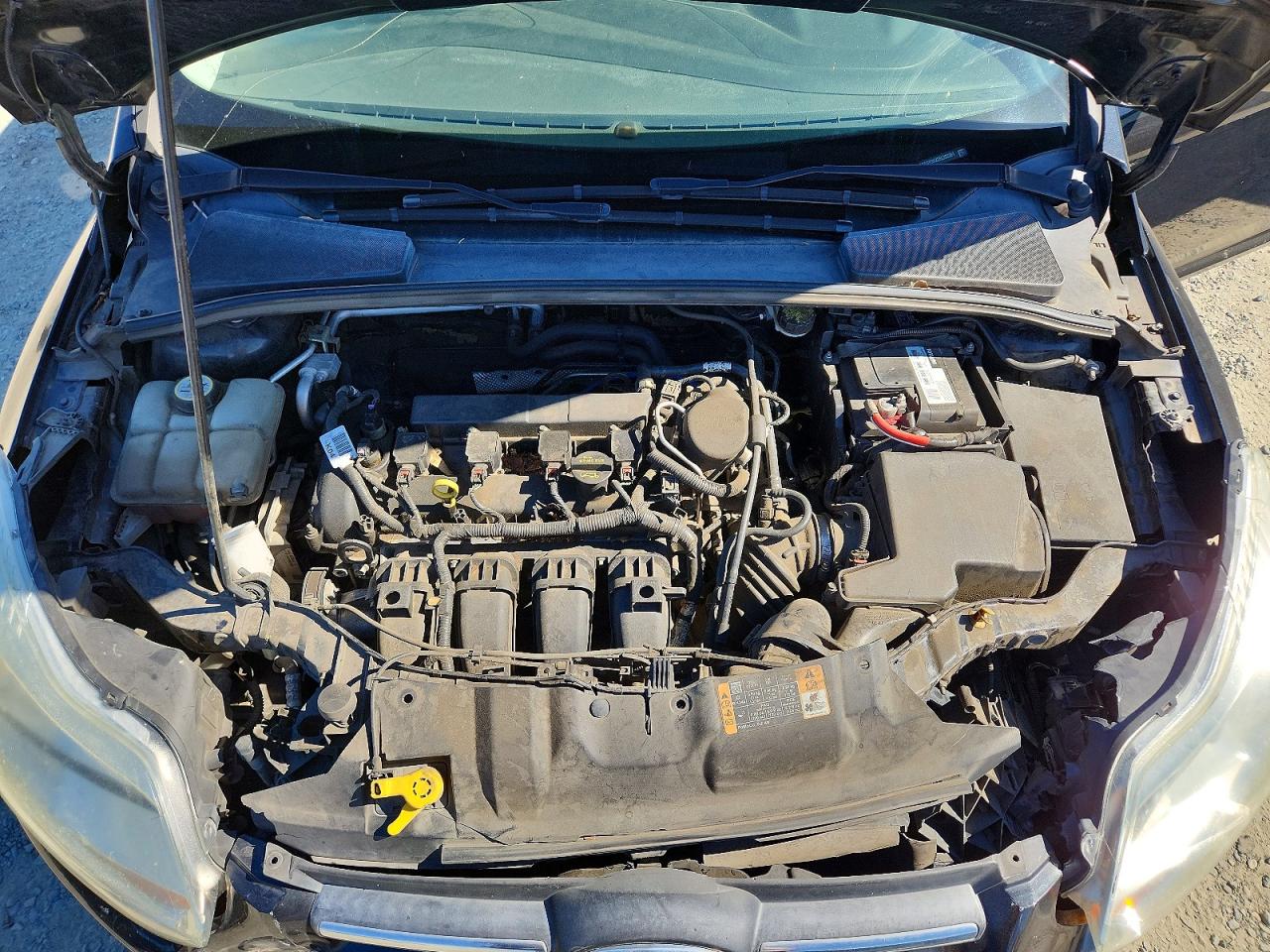 2014 FORD FOCUS