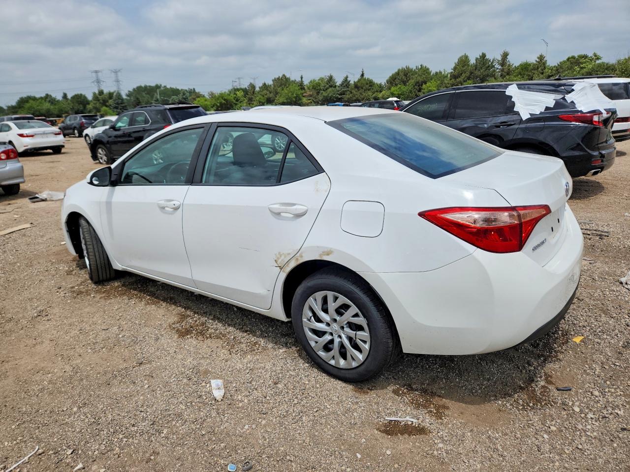 2019 TOYOTA COROLLA