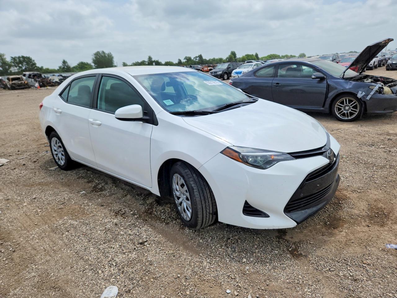 2019 TOYOTA COROLLA