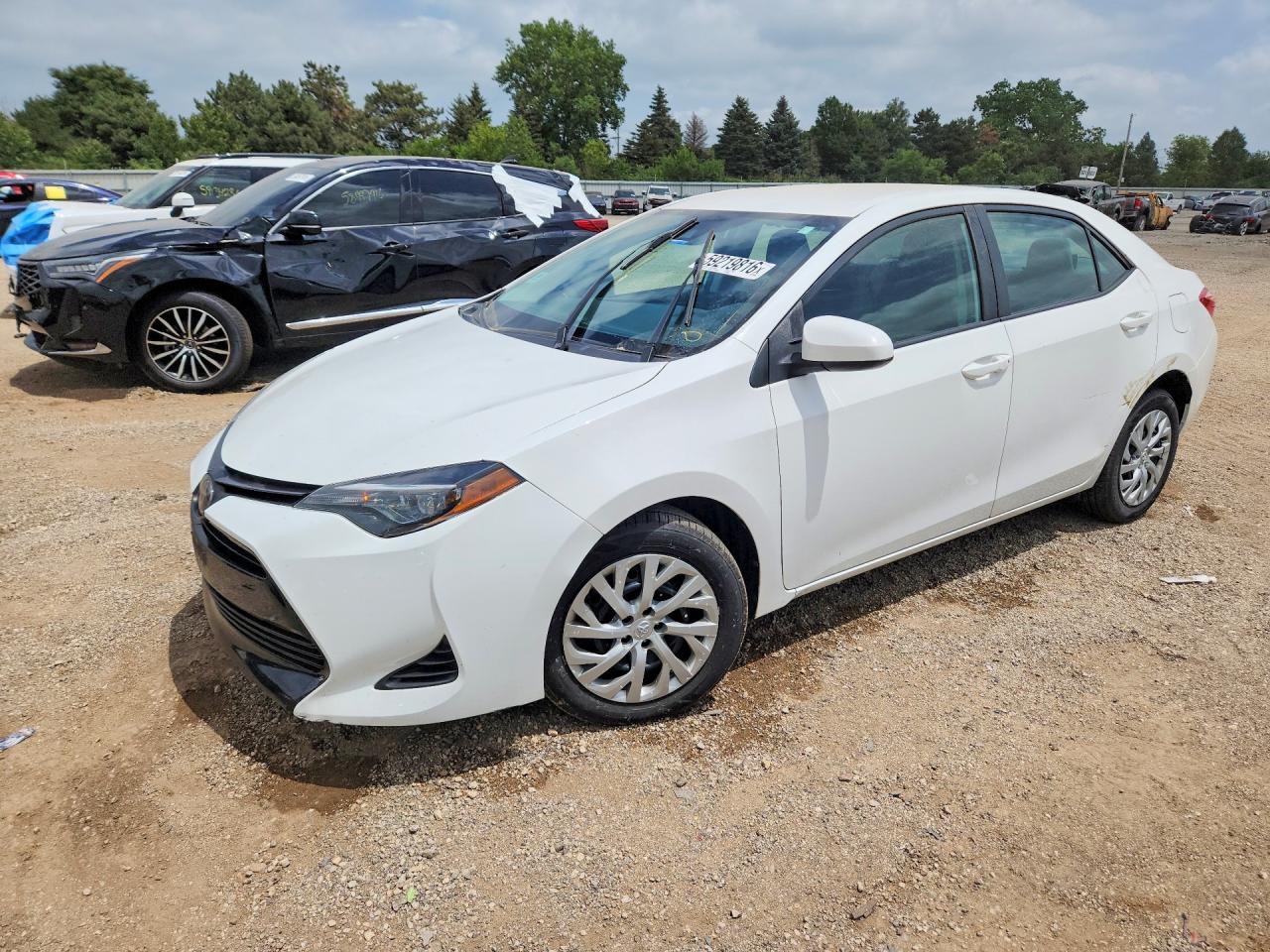 2019 TOYOTA COROLLA