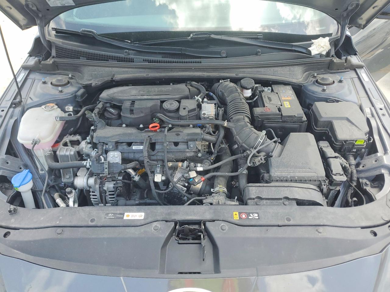 2025 HYUNDAI ELANTRA