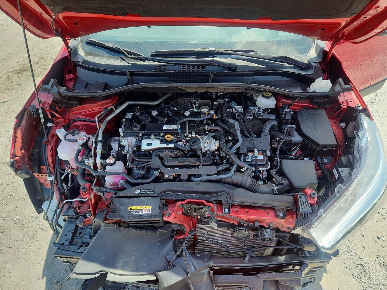 2025 TOYOTA COROLLA