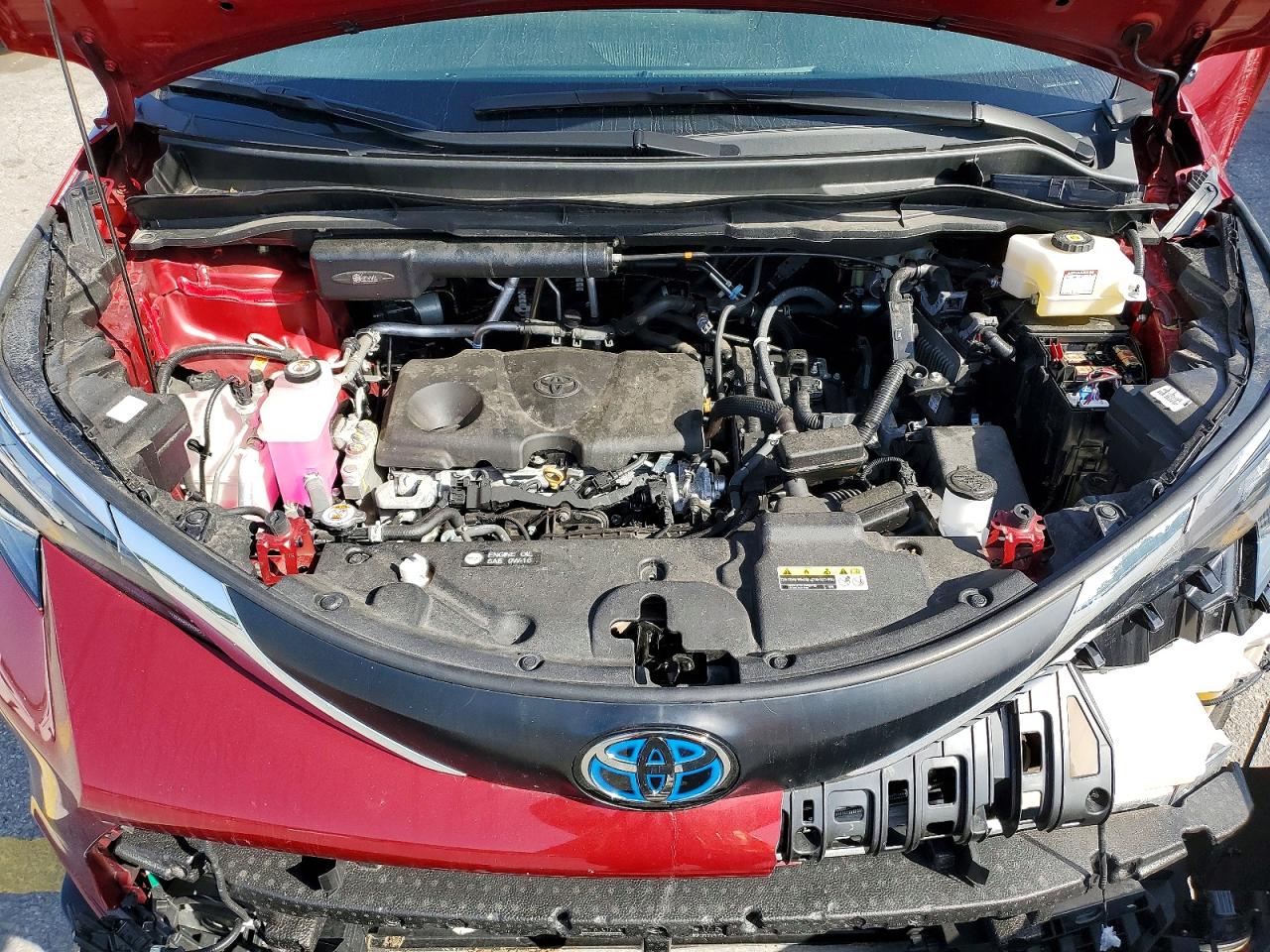 2025 TOYOTA SIENNA