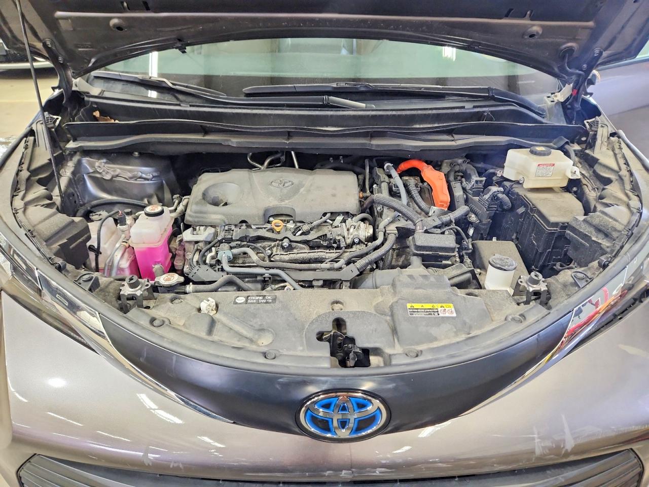 2024 TOYOTA SIENNA