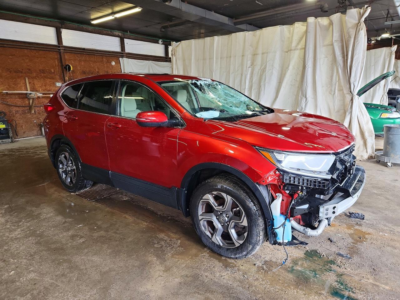 2019 HONDA CRV