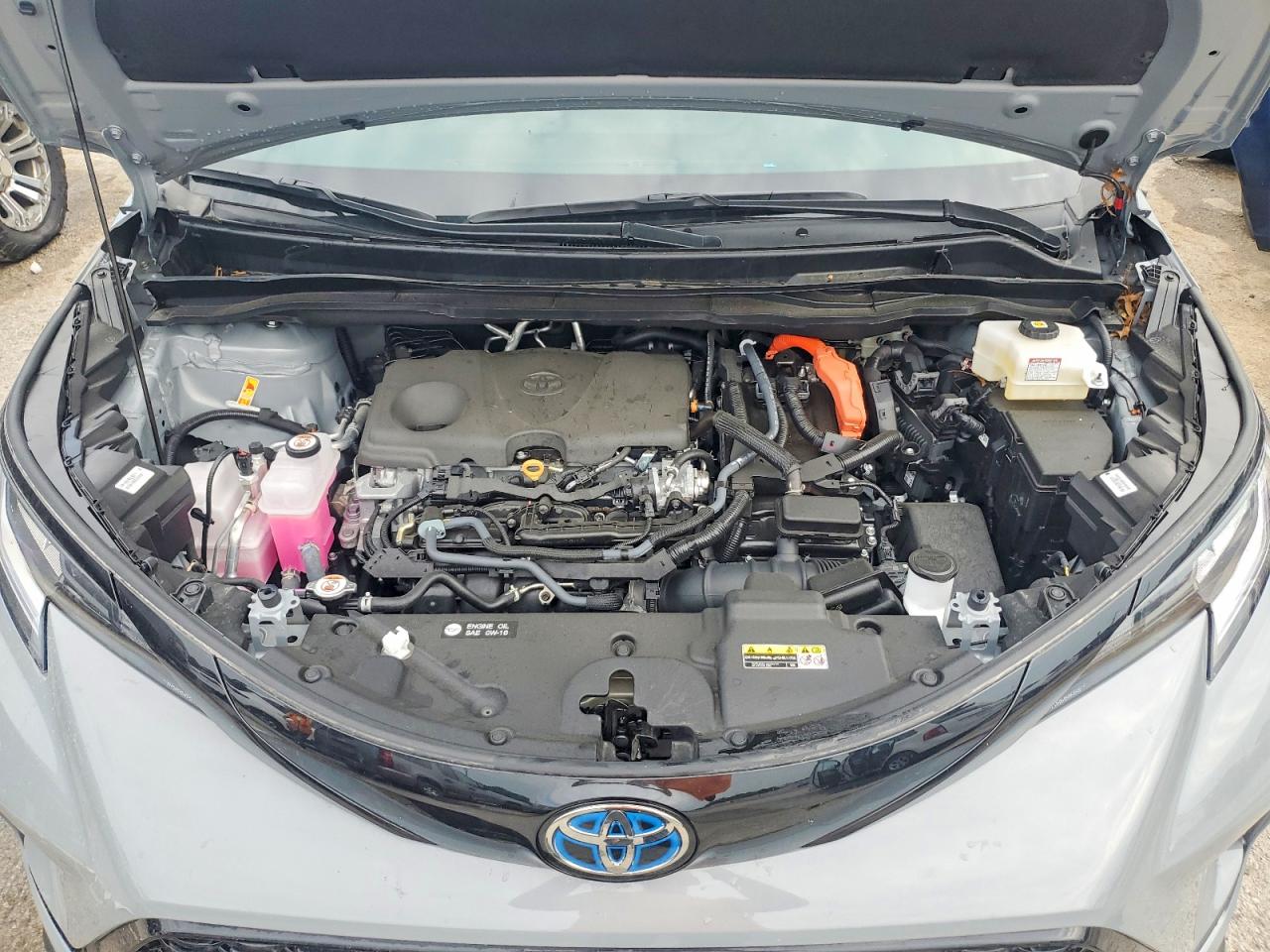 2025 TOYOTA SIENNA