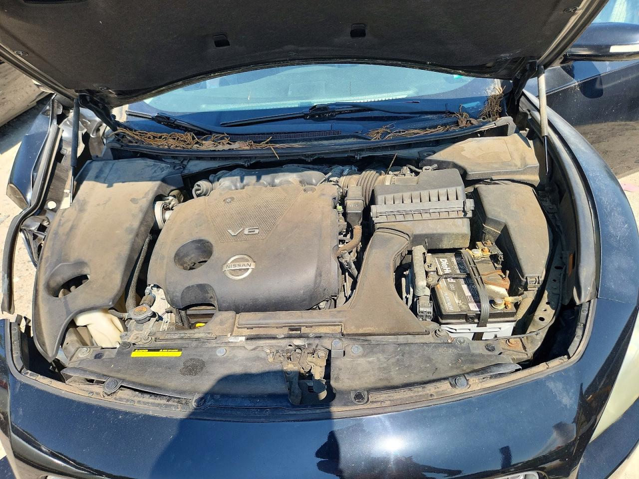 2011 NISSAN MAXIMA
