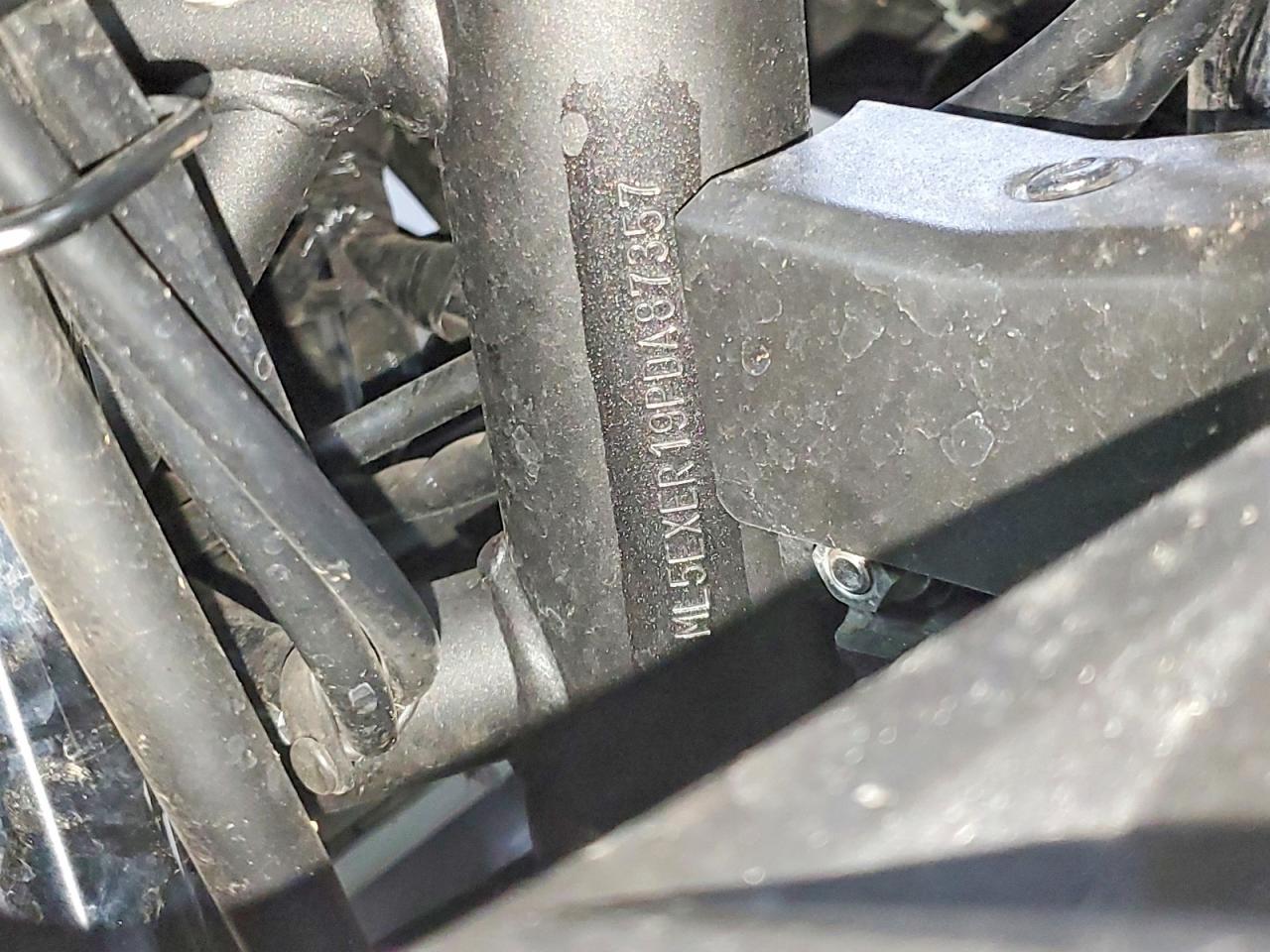 2023 KAWASAKI EX