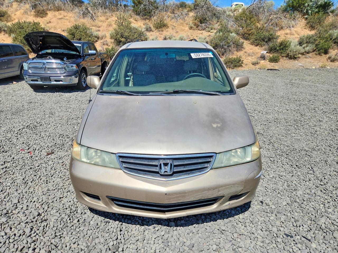 2002 HONDA All Models