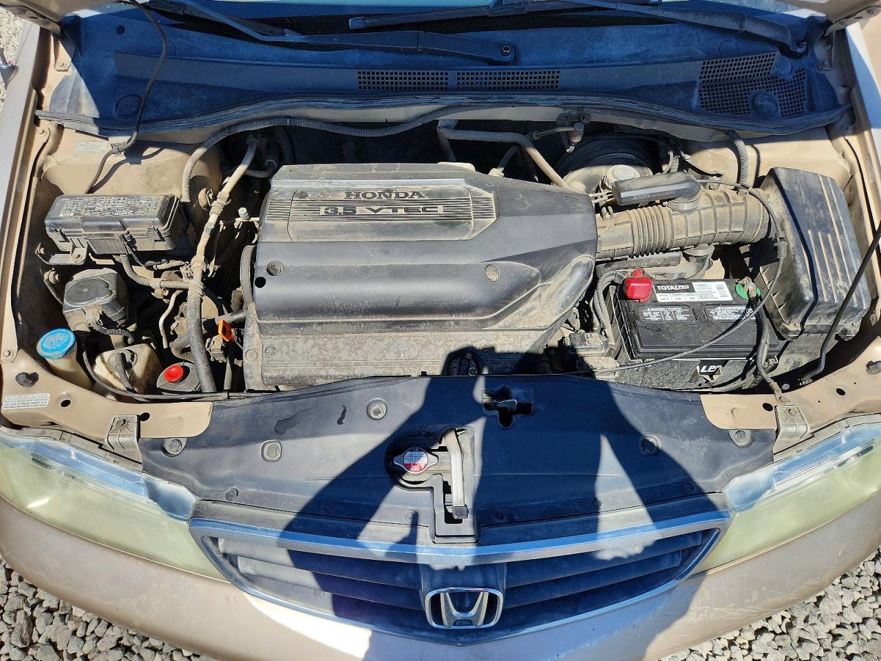 2002 HONDA All Models