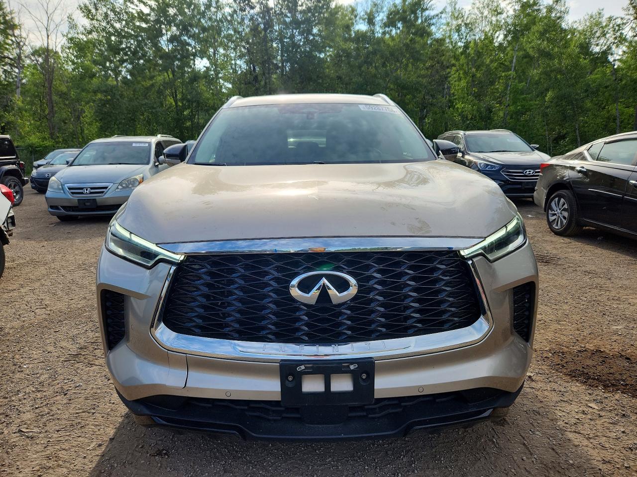 2023 INFINITI QX60
