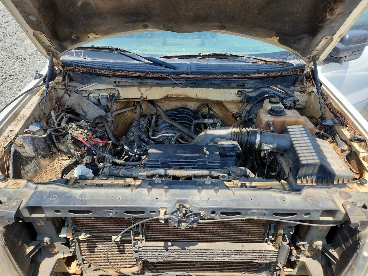 2011 FORD F150
