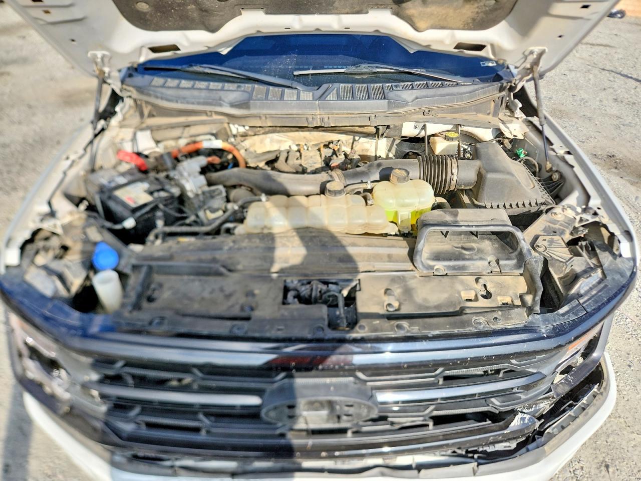 2024 FORD All Models