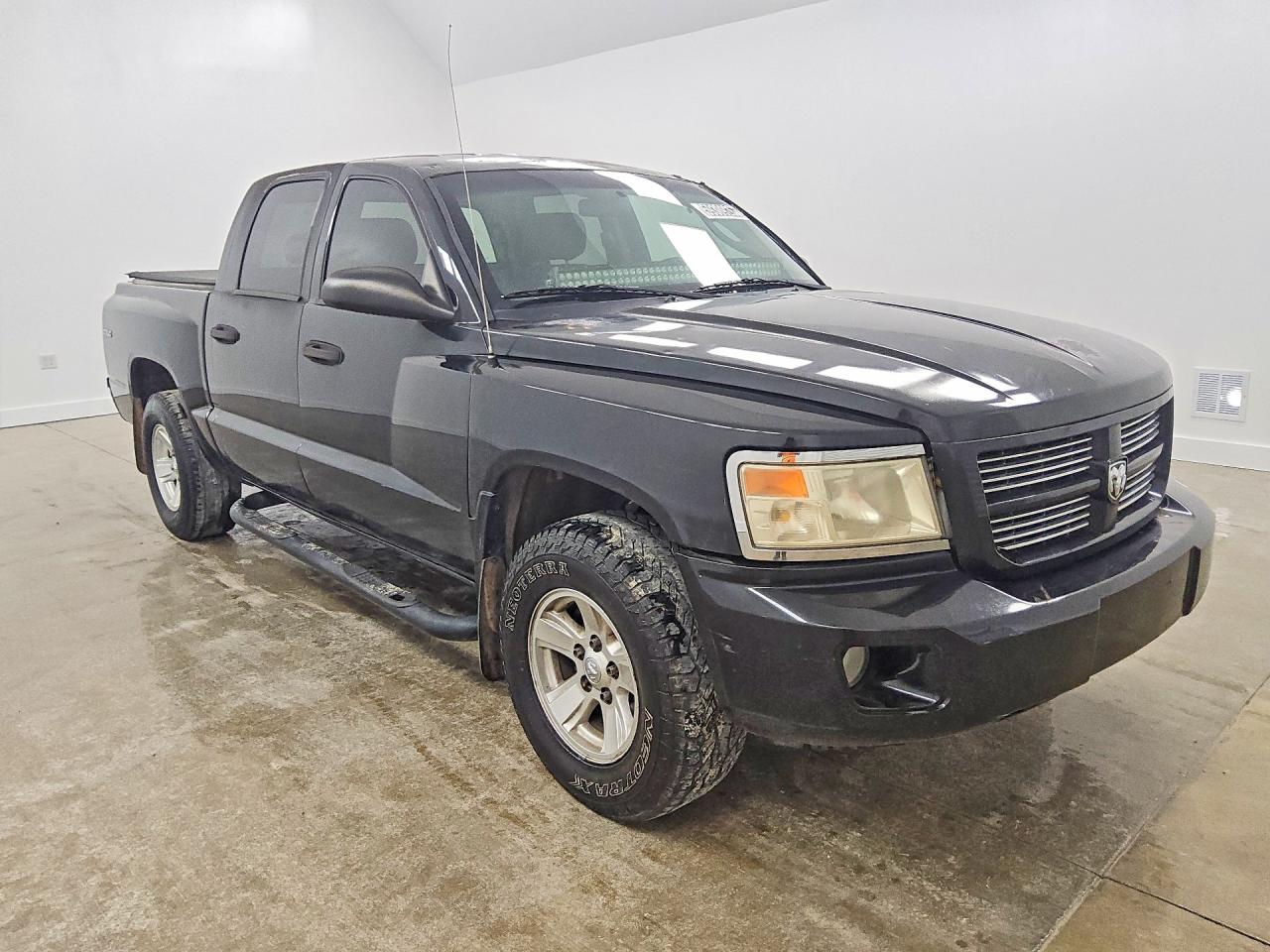 2010 DODGE DAKOTA