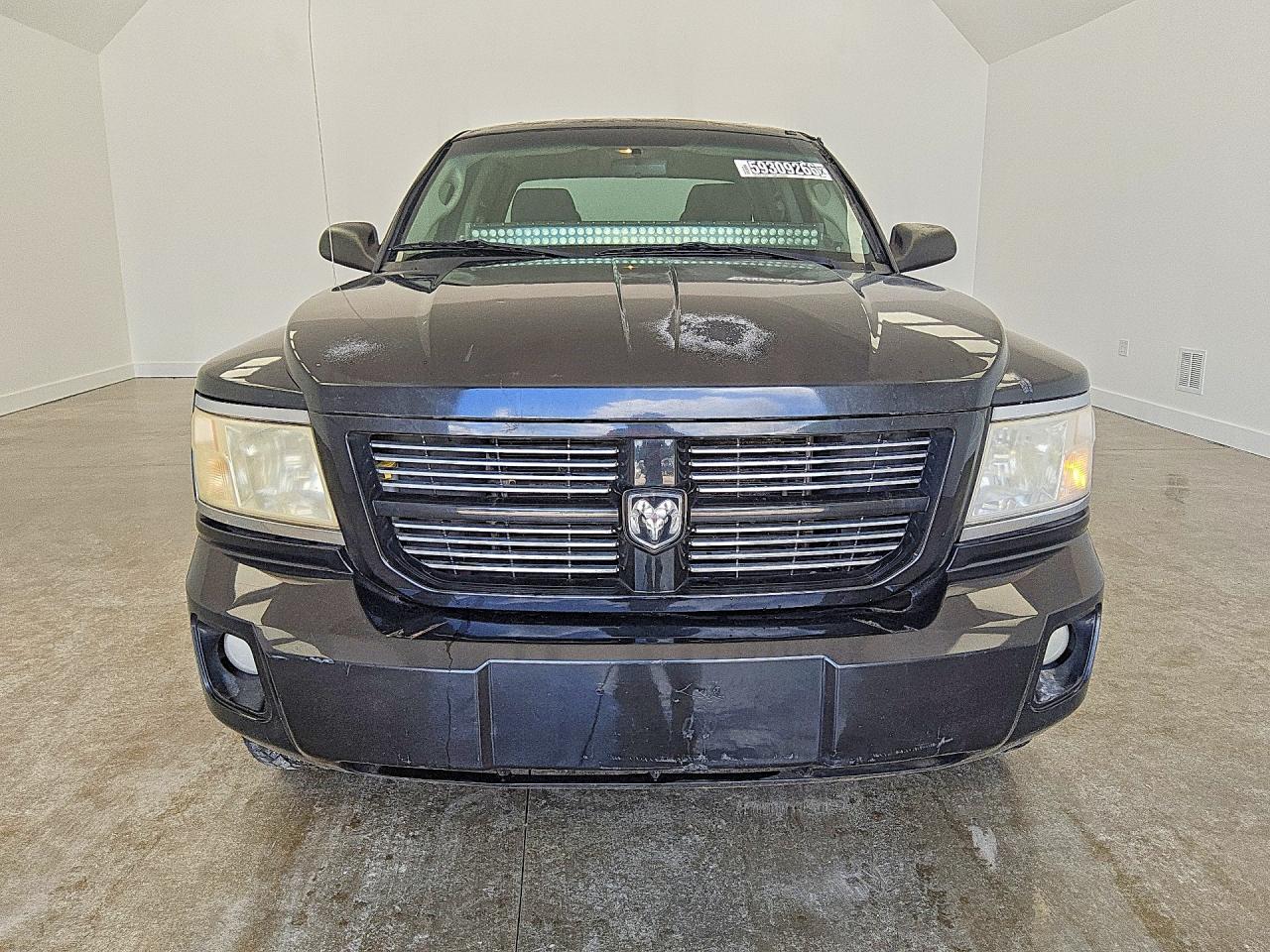 2010 DODGE DAKOTA