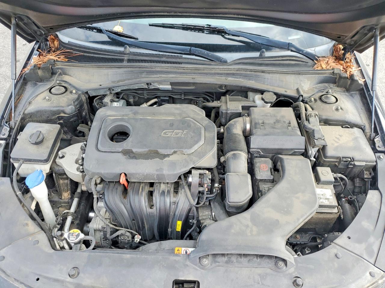 2019 KIA OPTIMA