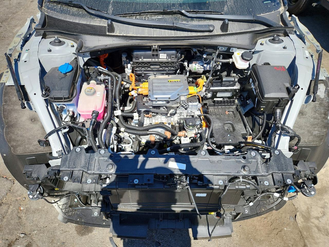 2025 KIA ALL OTHER