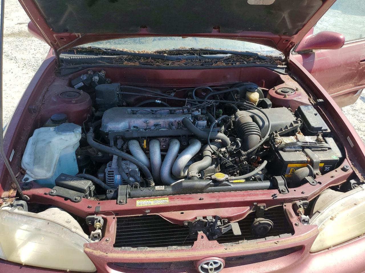 1999 TOYOTA COROLLA