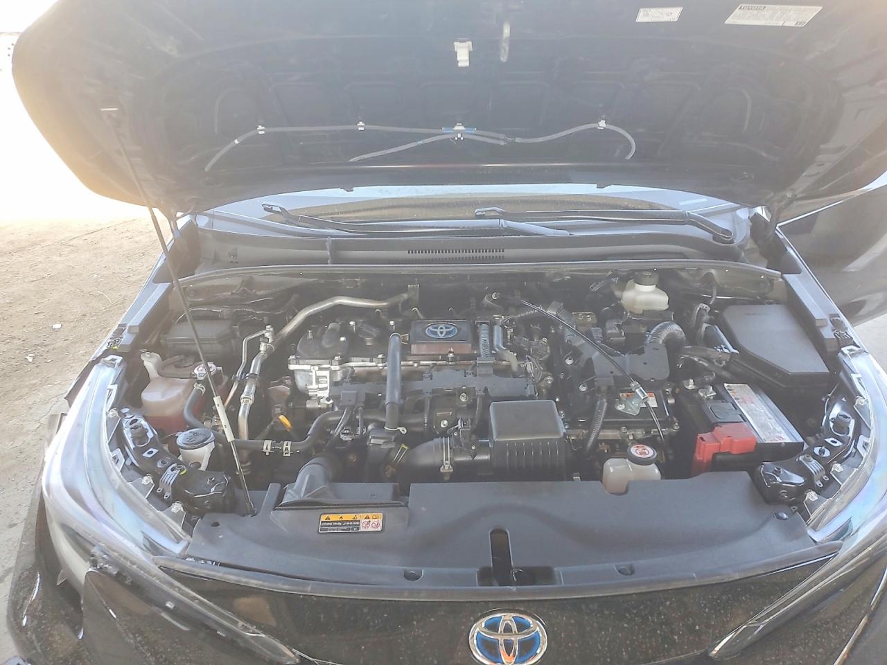 2023 TOYOTA COROLLA