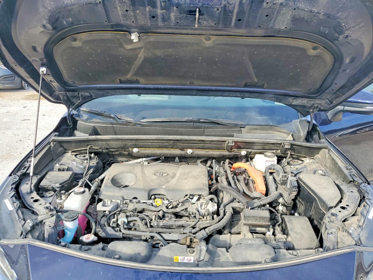 2023 TOYOTA VENZA