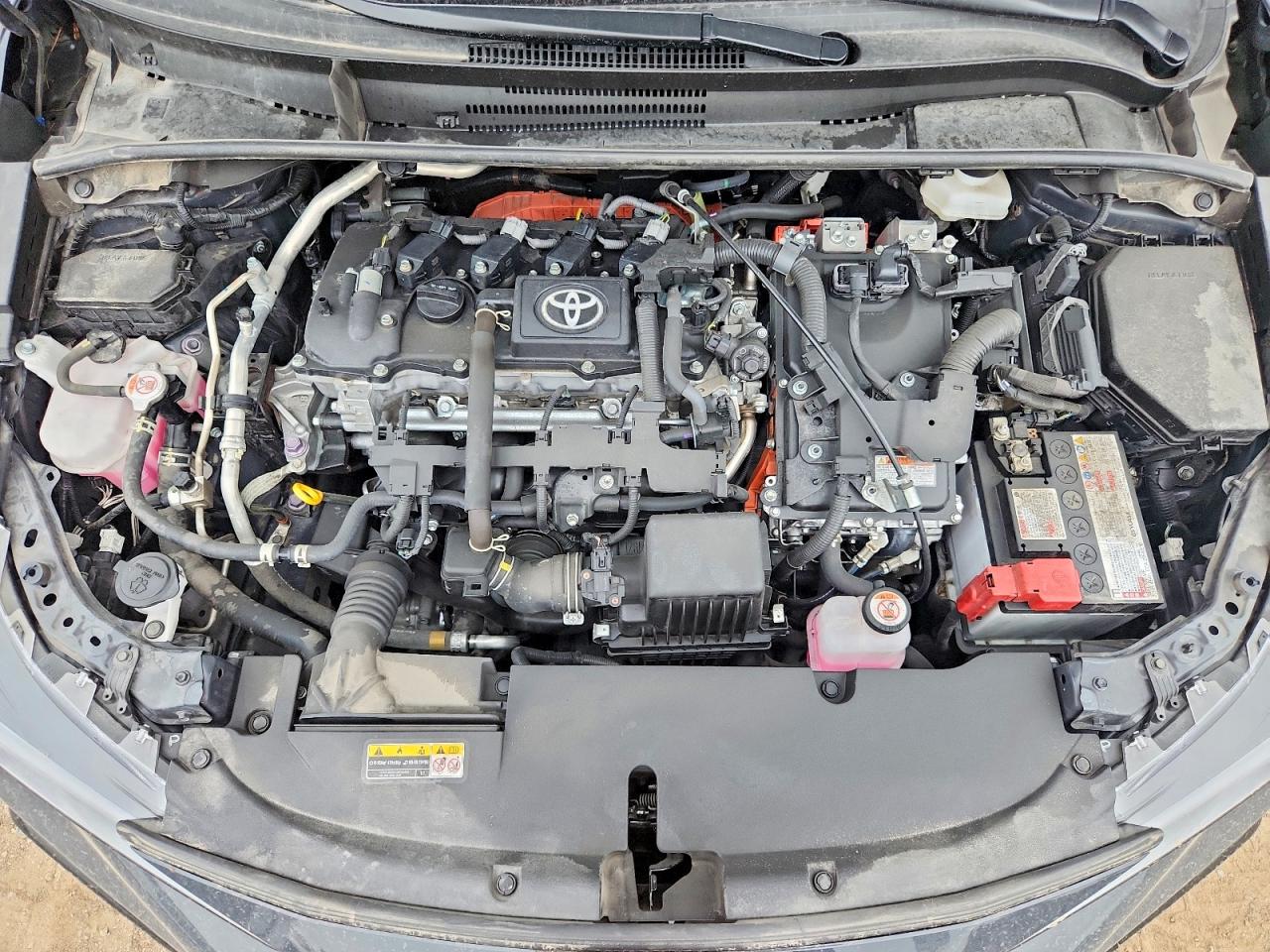 2025 TOYOTA COROLLA