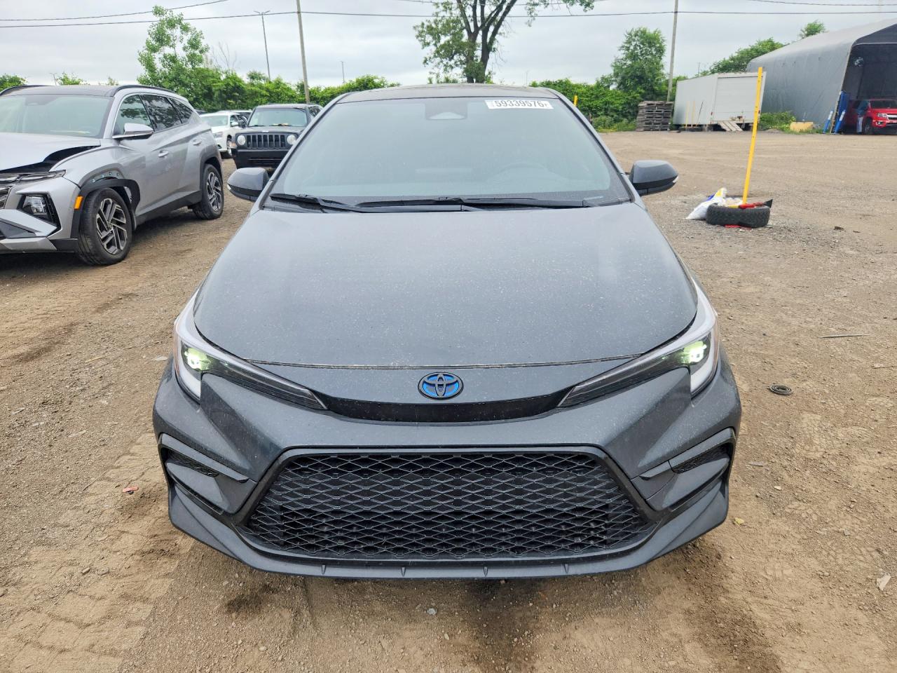 2025 TOYOTA COROLLA