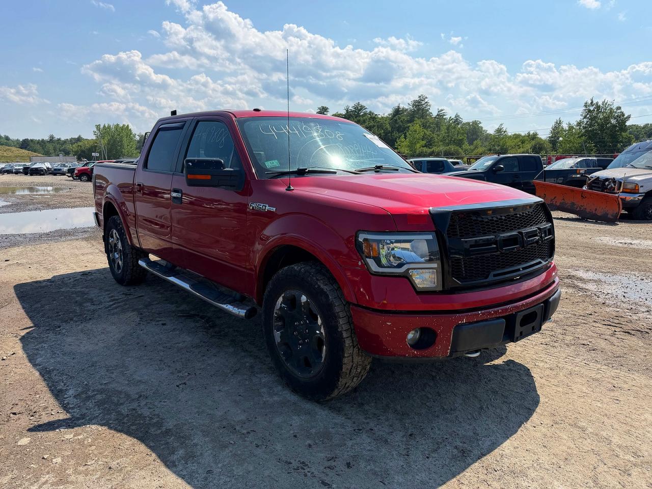 2009 FORD F-150