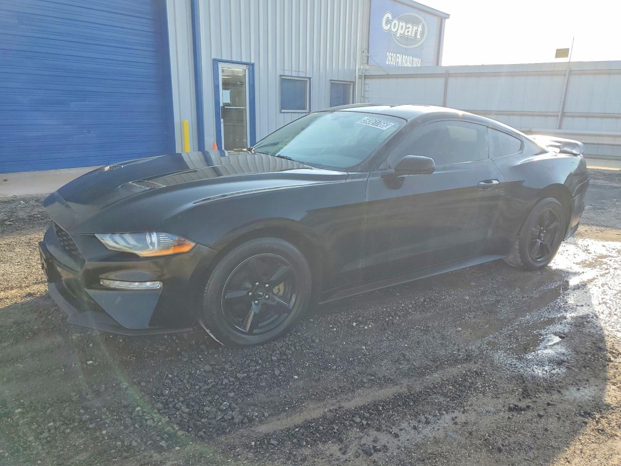 2019 FORD MUSTANG