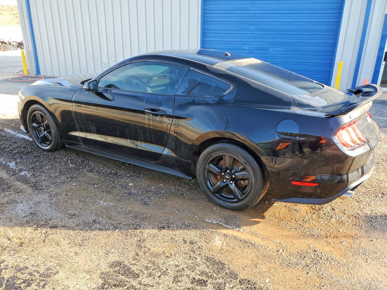 2019 FORD MUSTANG
