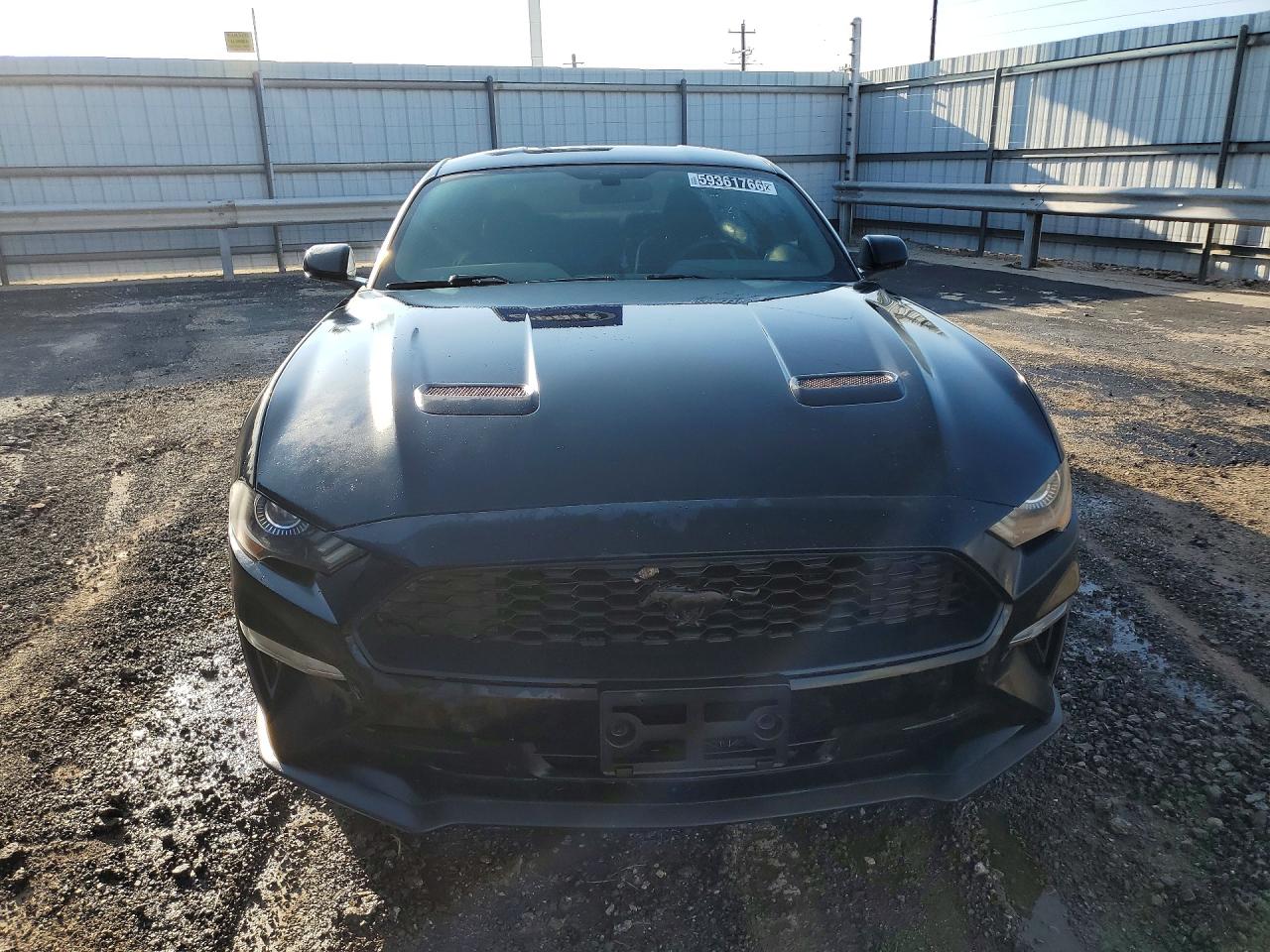 2019 FORD MUSTANG