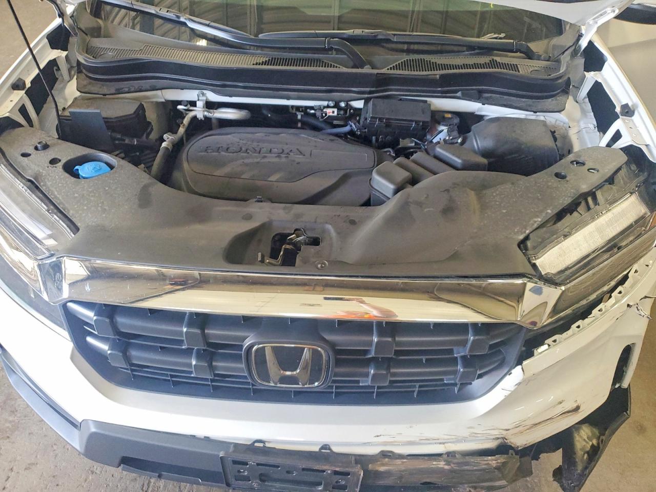 2025 HONDA RIDGELINE