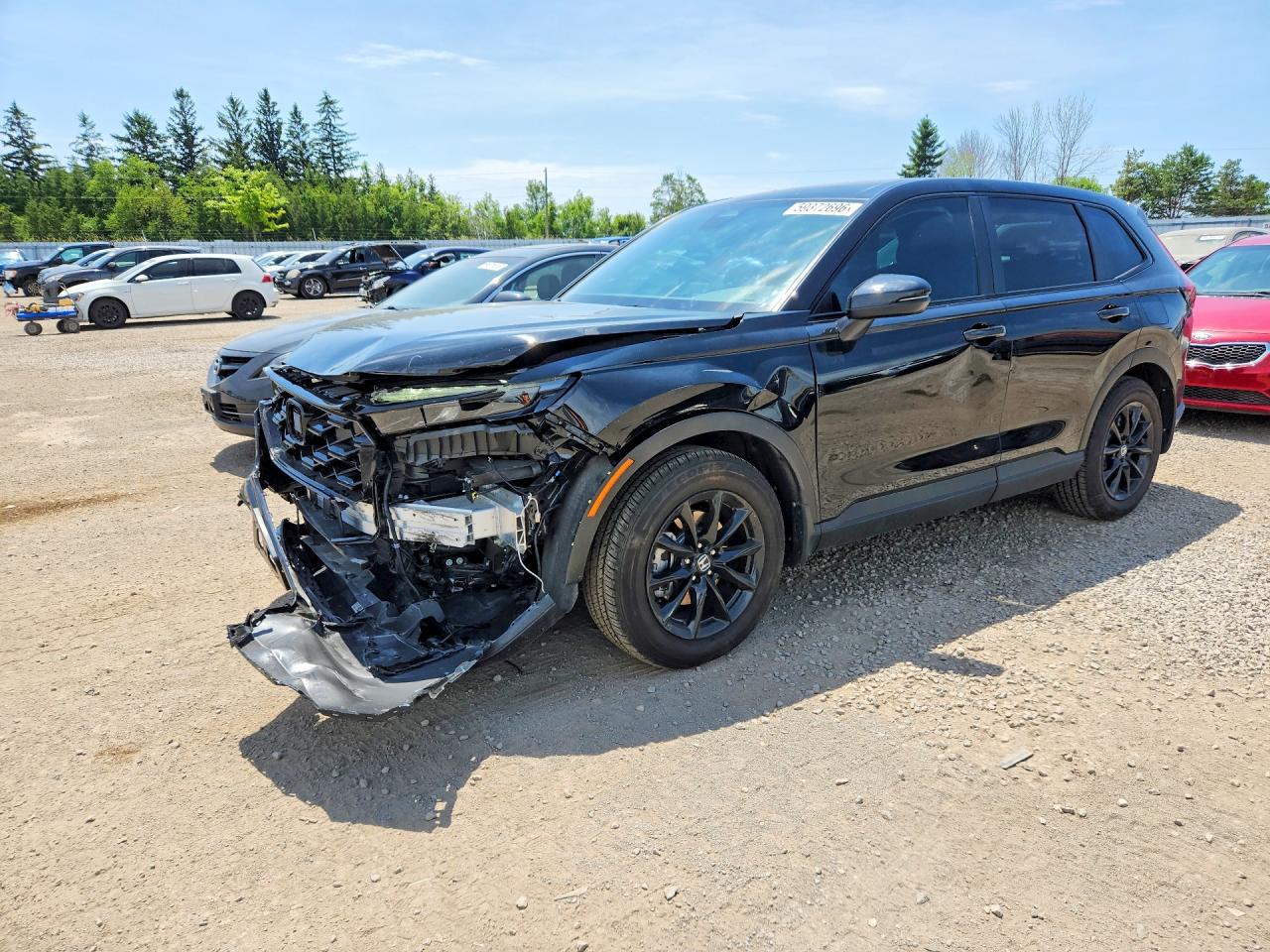 2026 HONDA CRV