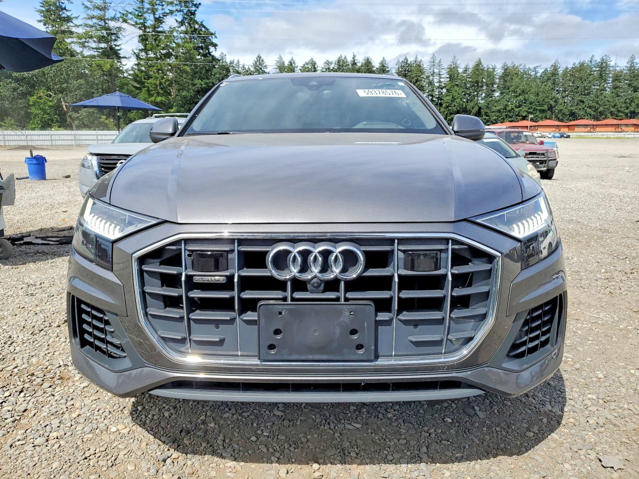 2019 AUDI Q8