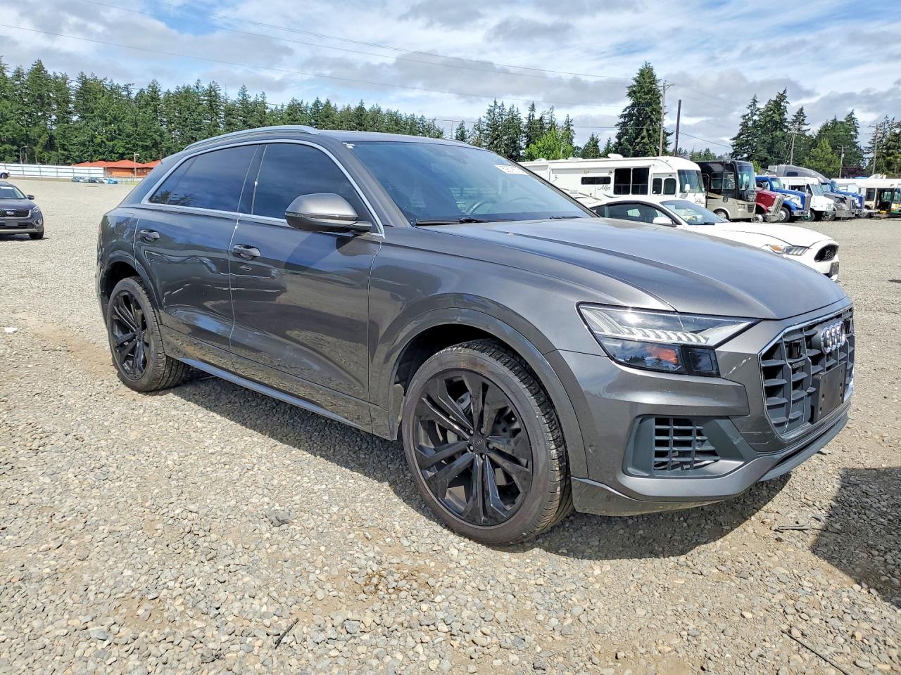 2019 AUDI Q8