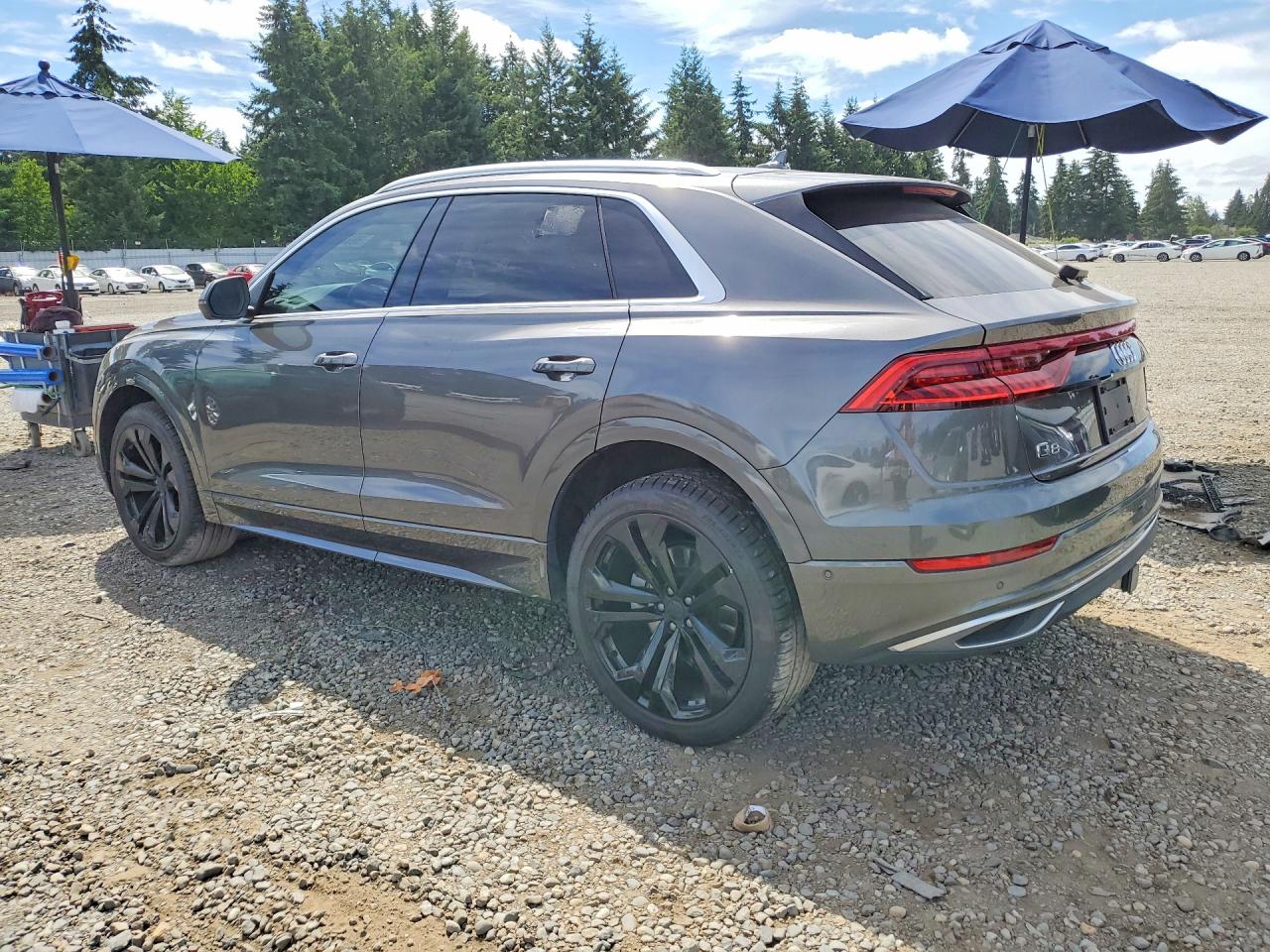 2019 AUDI Q8