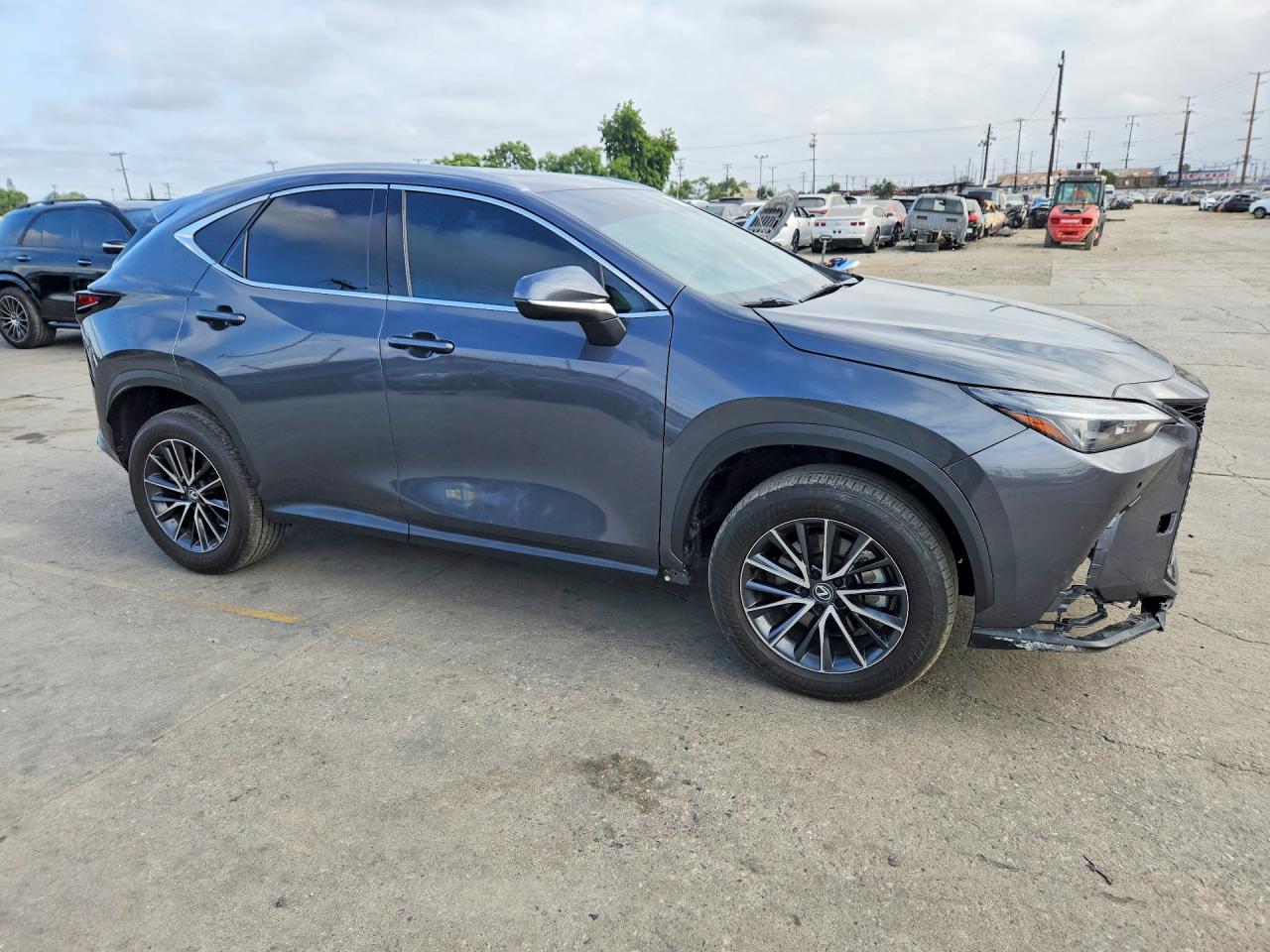 2024 LEXUS NX
