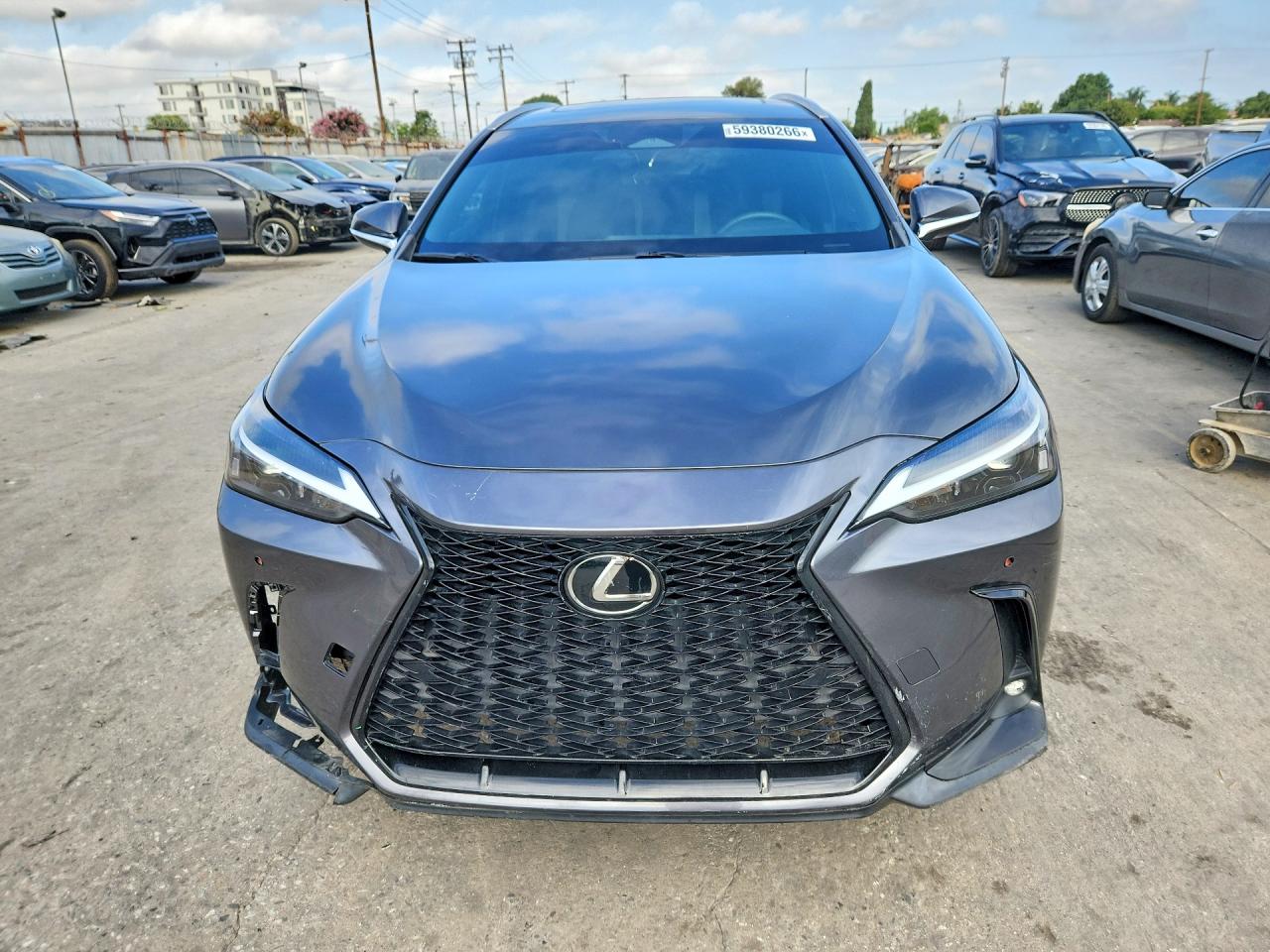 2024 LEXUS NX