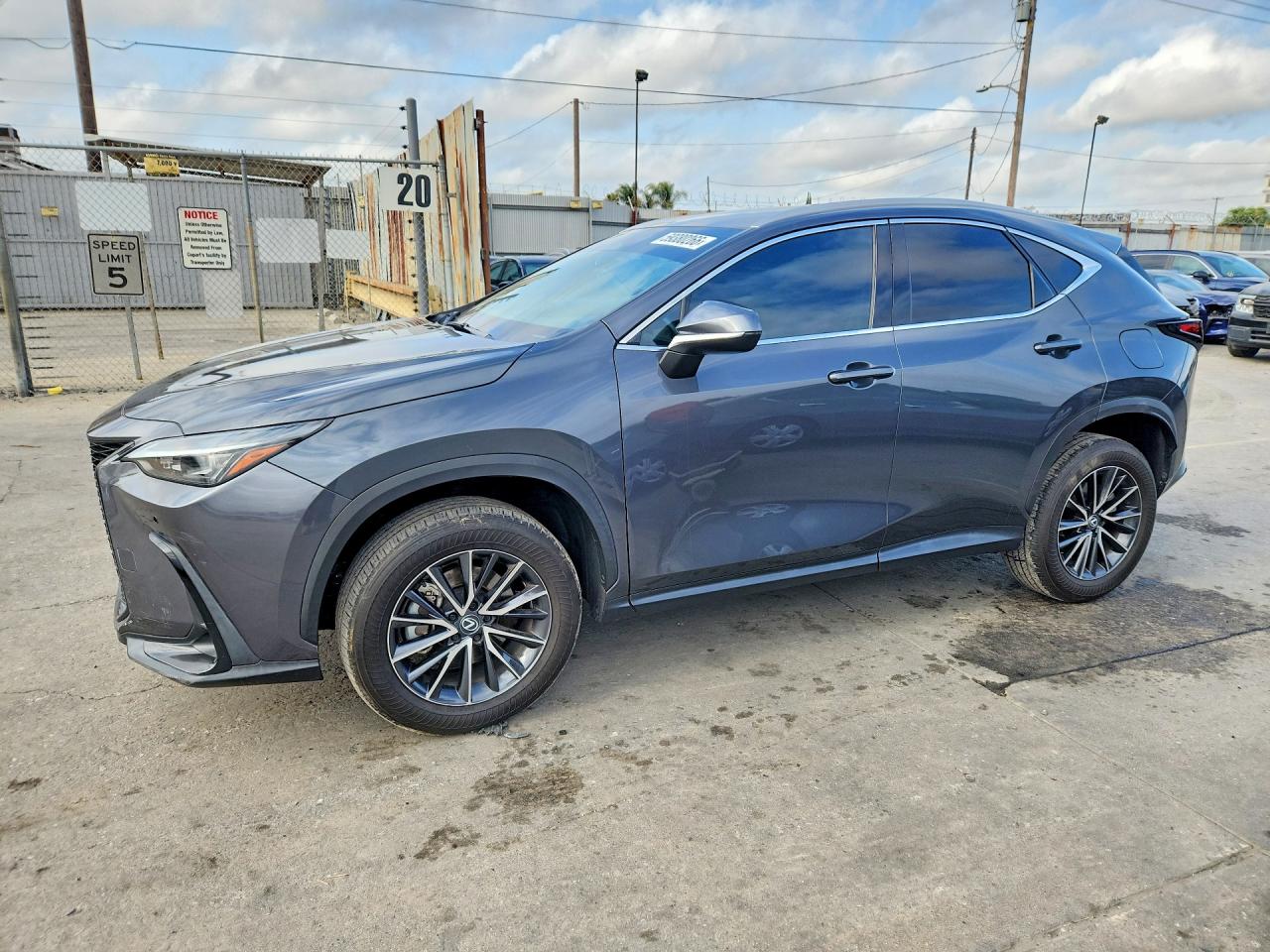 2024 LEXUS NX