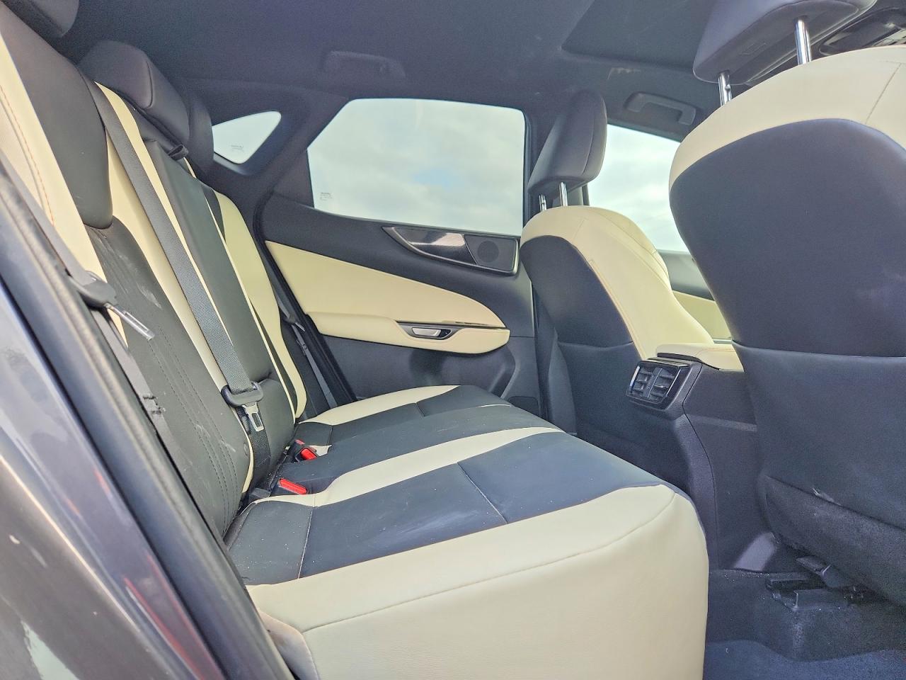 2024 LEXUS NX