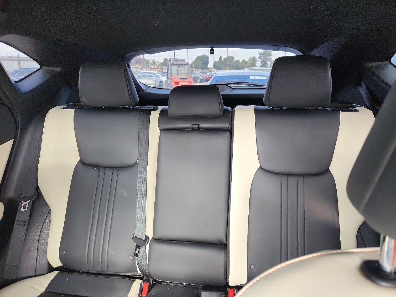 2024 LEXUS NX